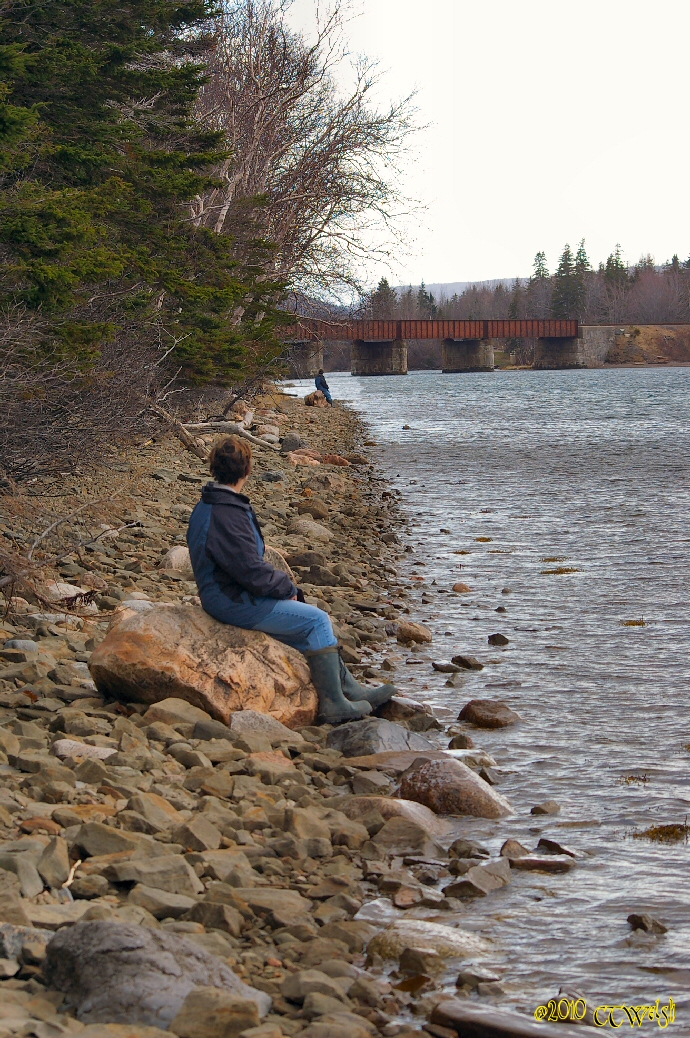 Looking West to George's River